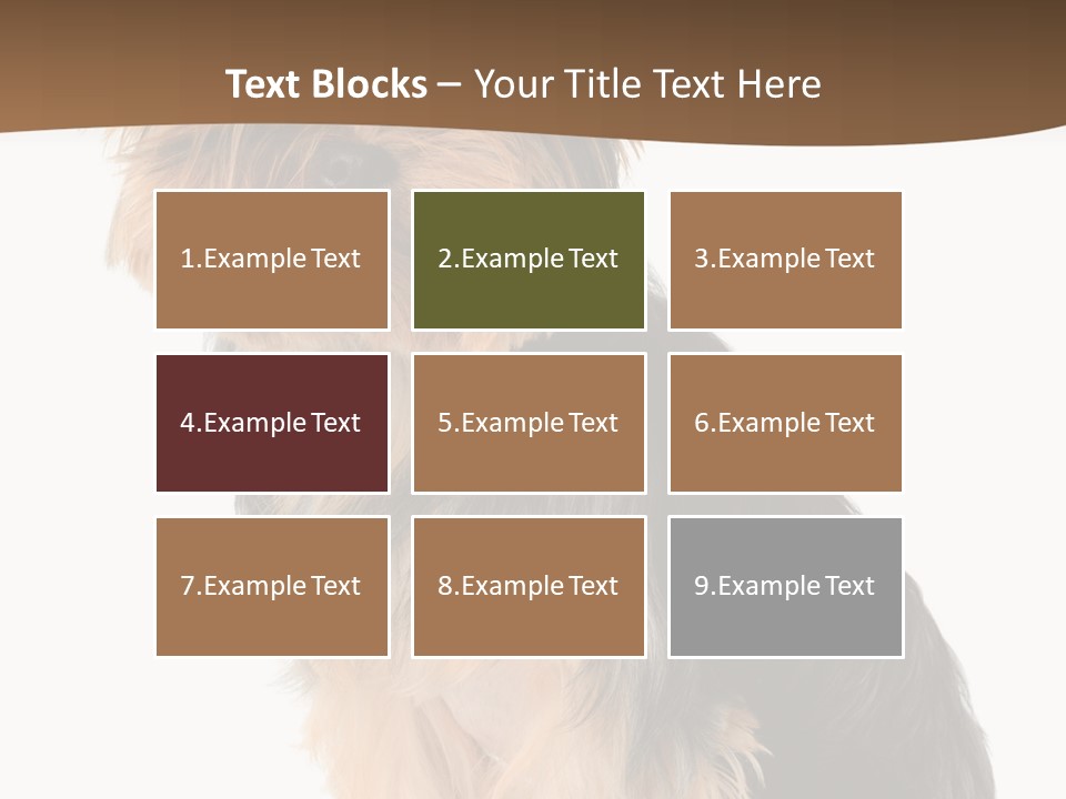 Brown Looking Dog PowerPoint Template