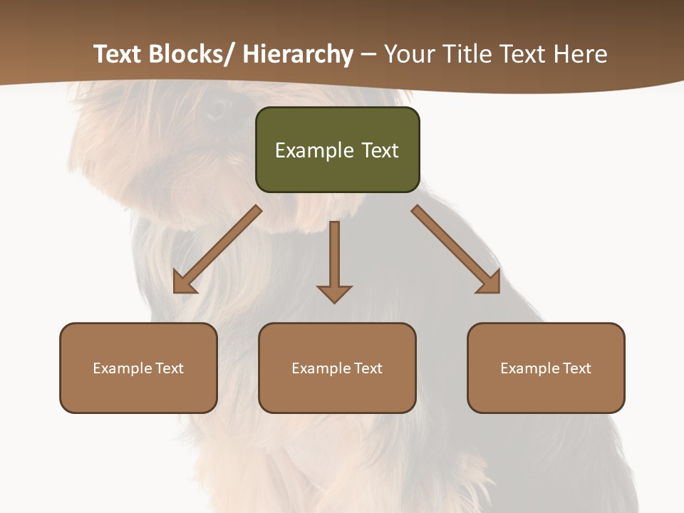 Brown Looking Dog PowerPoint Template