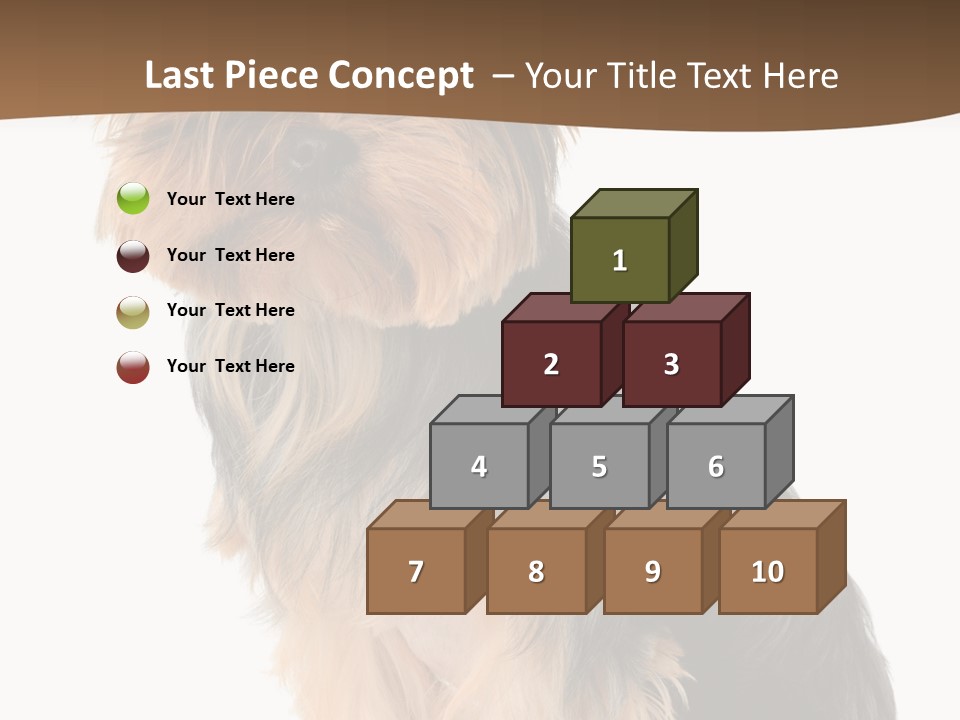 Brown Looking Dog PowerPoint Template