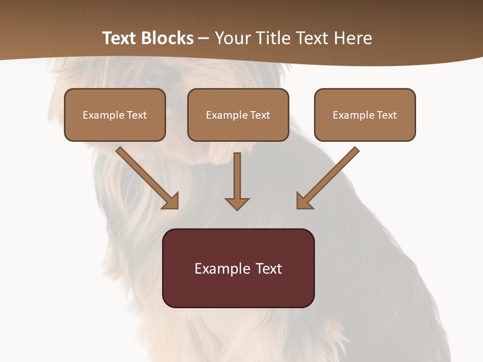 Brown Looking Dog PowerPoint Template