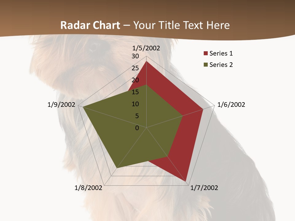 Brown Looking Dog PowerPoint Template