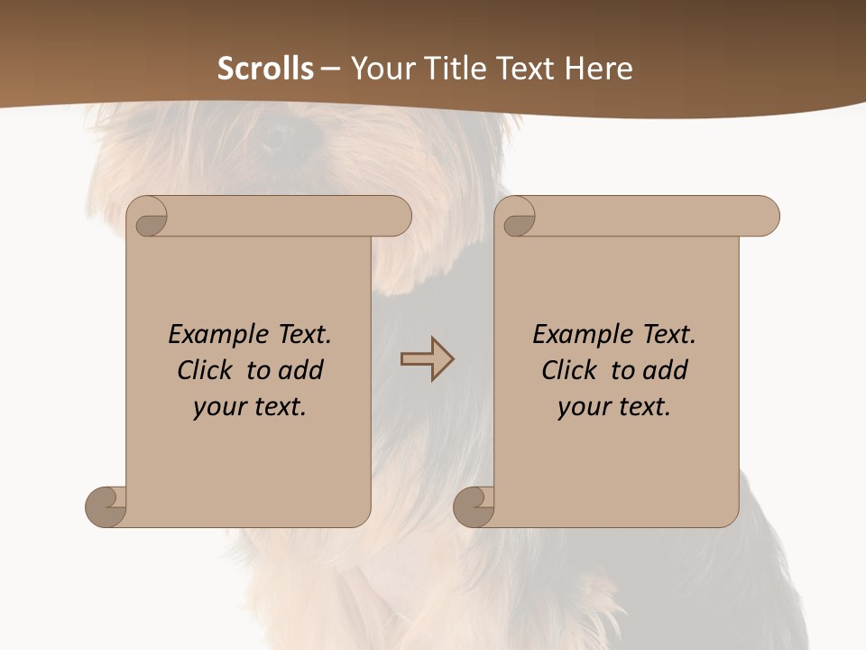 Brown Looking Dog PowerPoint Template