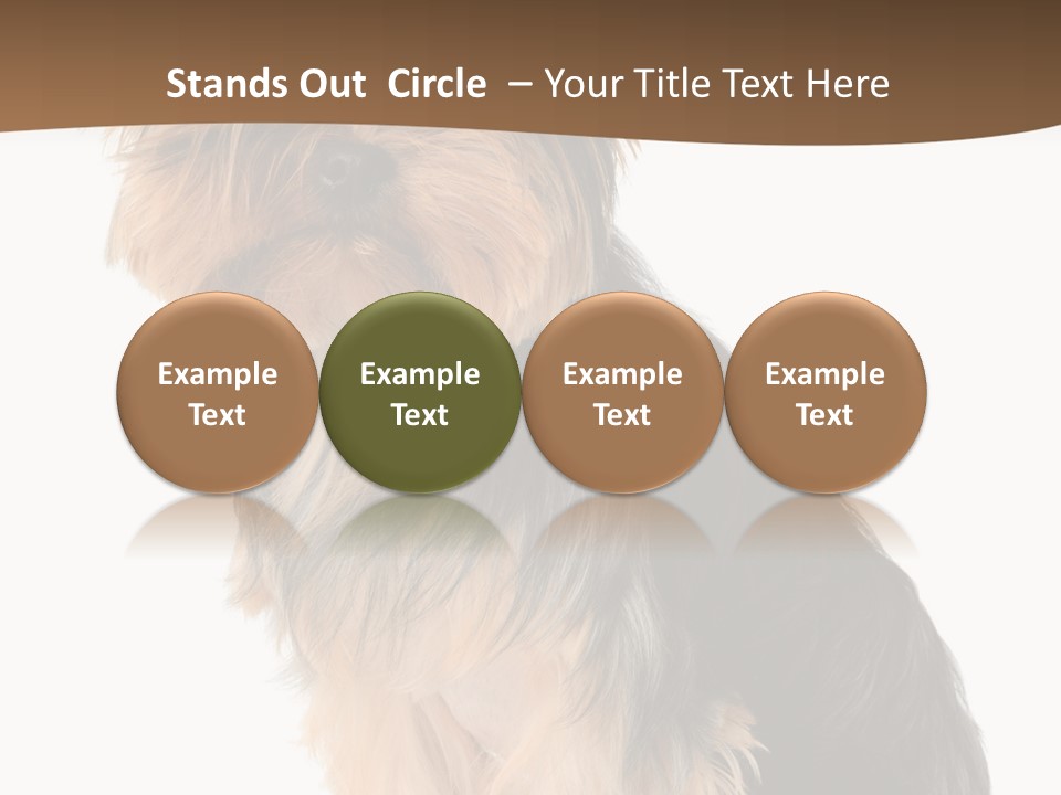 Brown Looking Dog PowerPoint Template