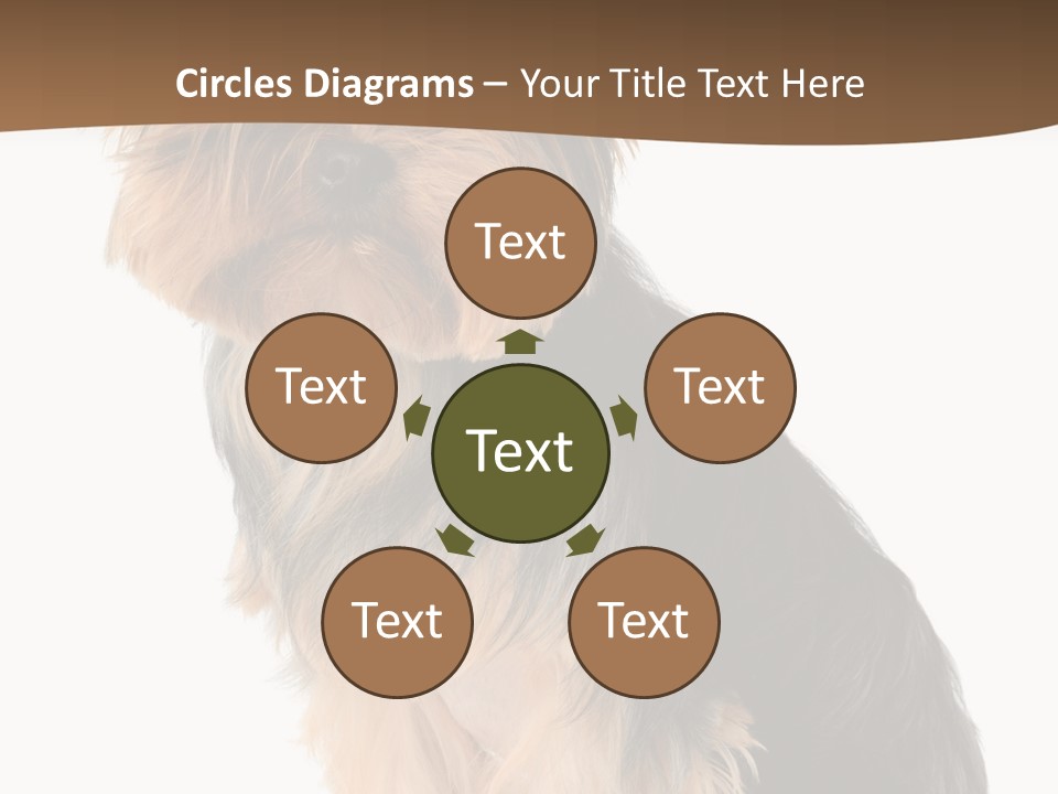Brown Looking Dog PowerPoint Template