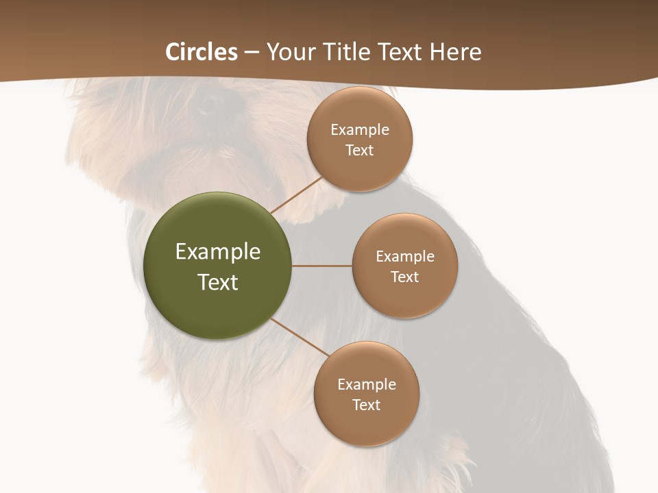 Brown Looking Dog PowerPoint Template