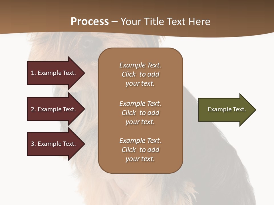 Brown Looking Dog PowerPoint Template