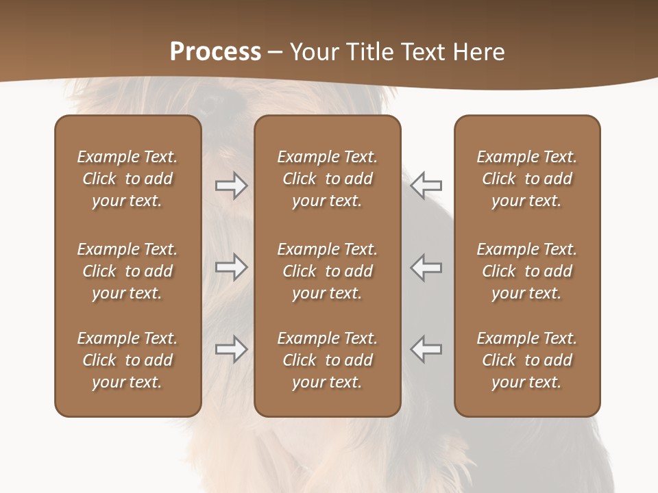 Brown Looking Dog PowerPoint Template