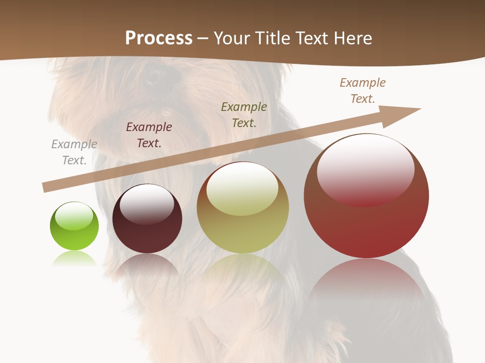 Brown Looking Dog PowerPoint Template