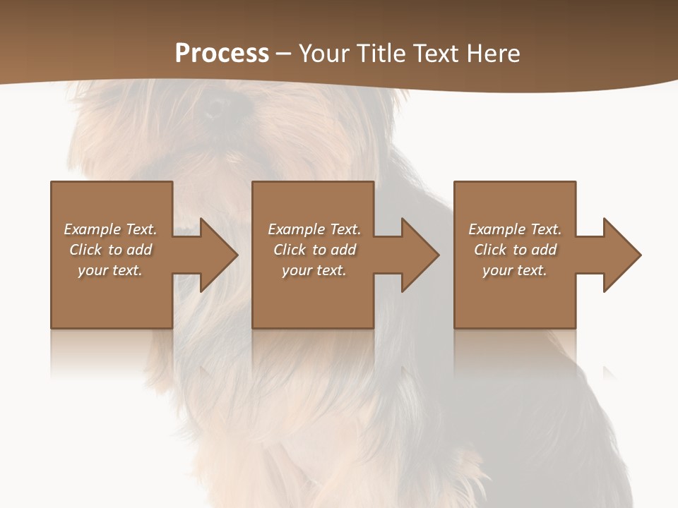 Brown Looking Dog PowerPoint Template