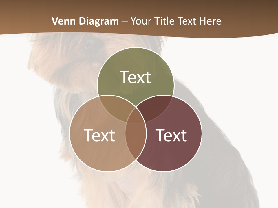 Brown Looking Dog PowerPoint Template