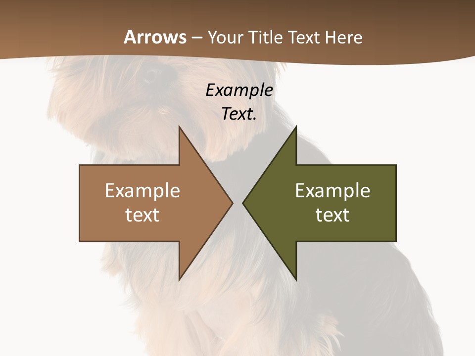 Brown Looking Dog PowerPoint Template