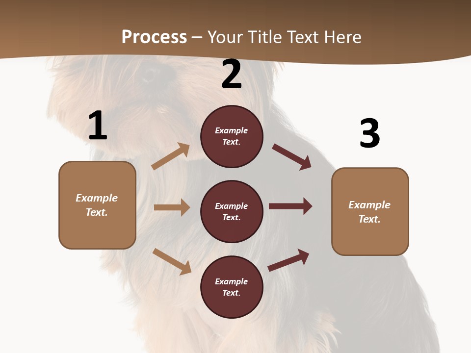 Brown Looking Dog PowerPoint Template