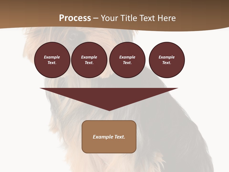 Brown Looking Dog PowerPoint Template