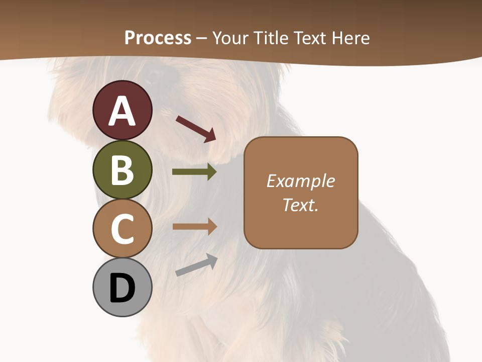 Brown Looking Dog PowerPoint Template