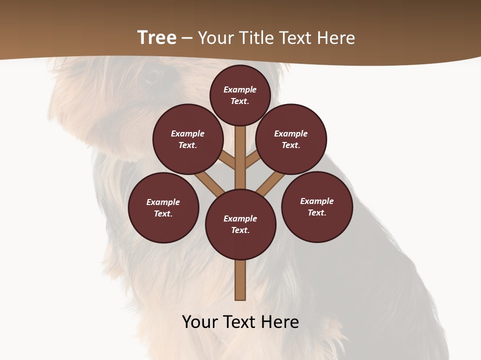 Brown Looking Dog PowerPoint Template