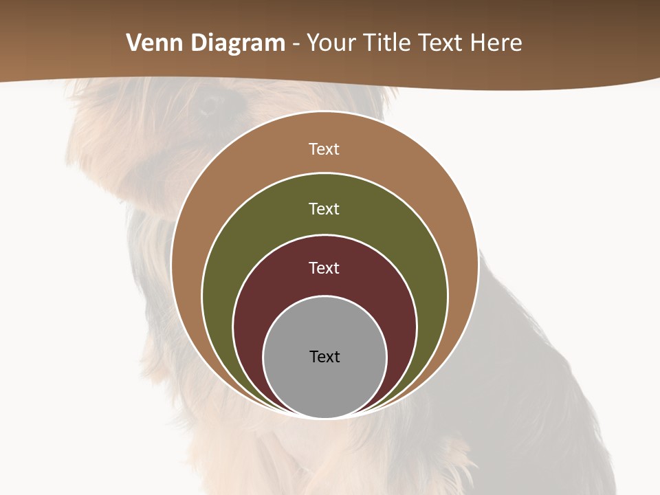 Brown Looking Dog PowerPoint Template