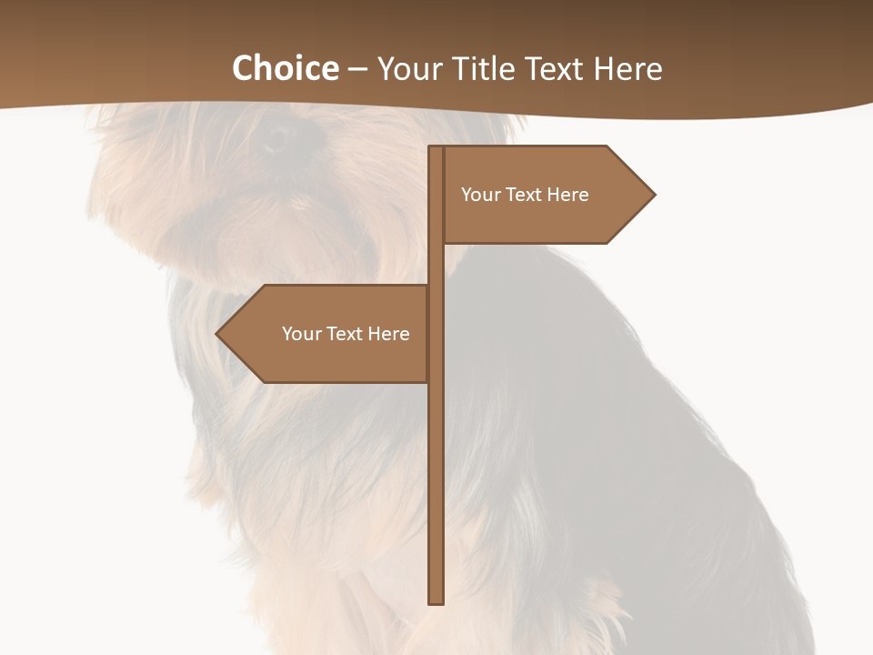 Brown Looking Dog PowerPoint Template
