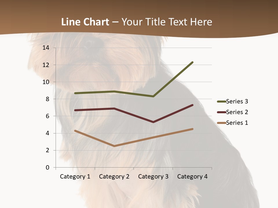 Brown Looking Dog PowerPoint Template