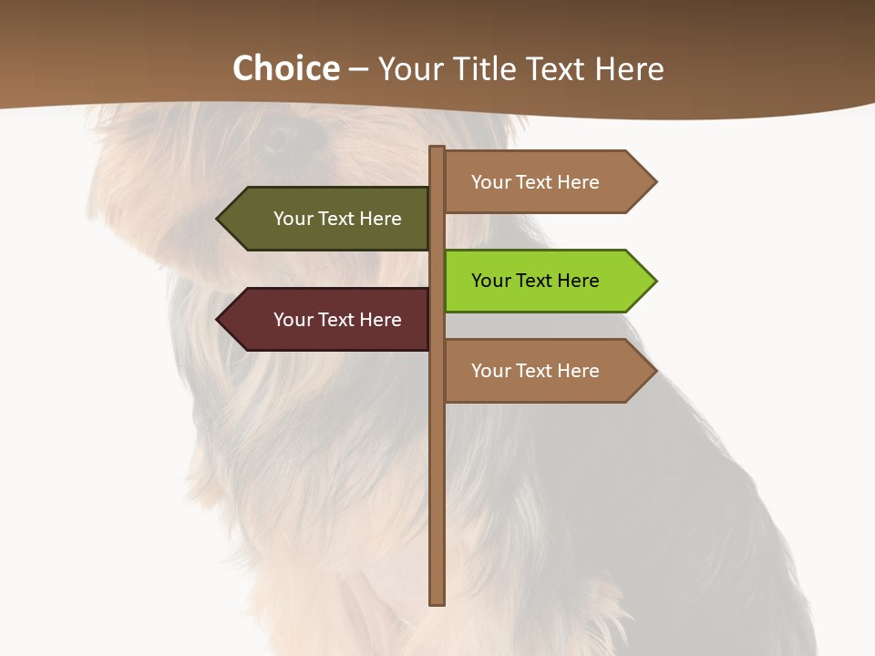Brown Looking Dog PowerPoint Template