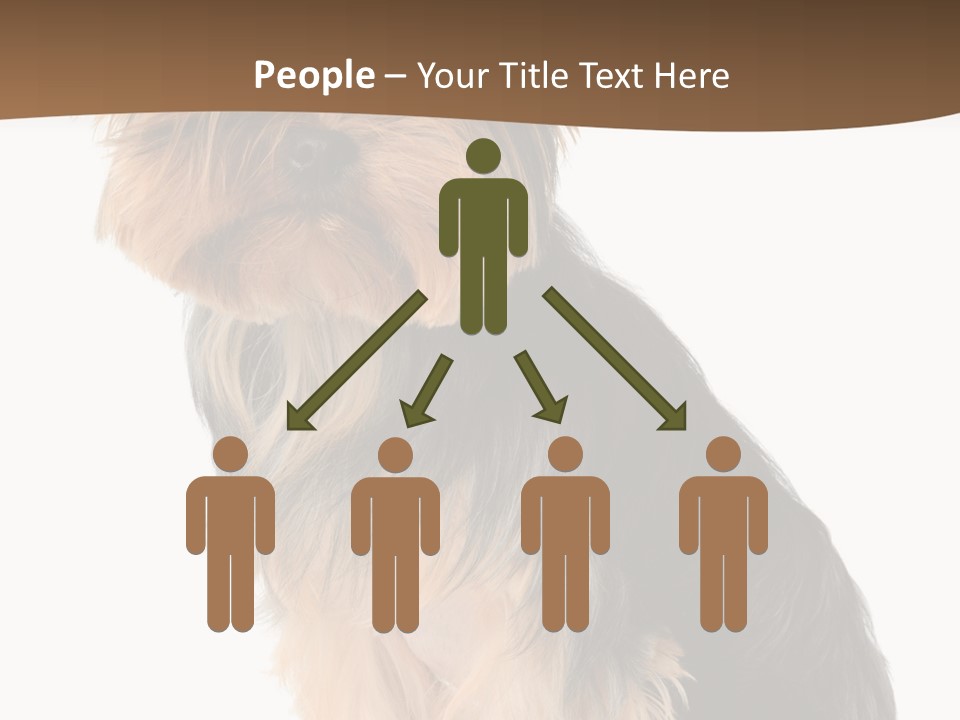 Brown Looking Dog PowerPoint Template