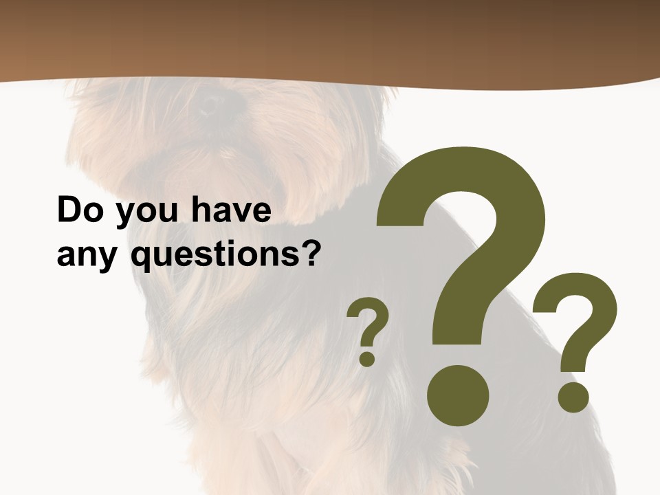 Brown Looking Dog PowerPoint Template