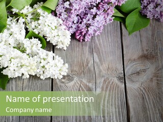 Beautiful Surface Cluster PowerPoint Template