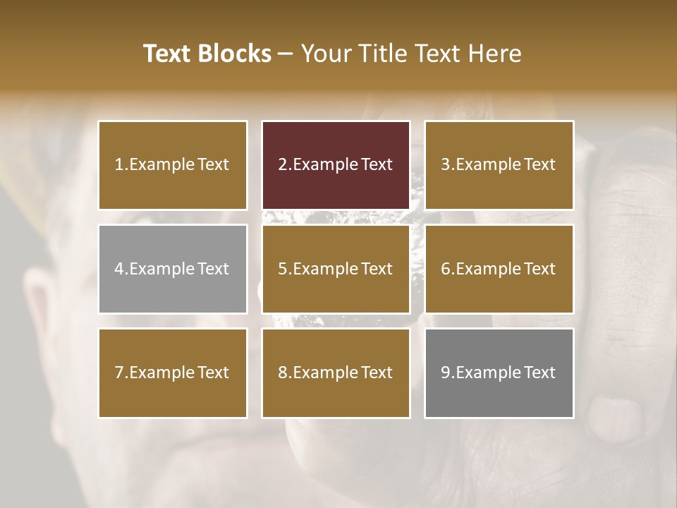 Extracted Dirt Protection PowerPoint Template