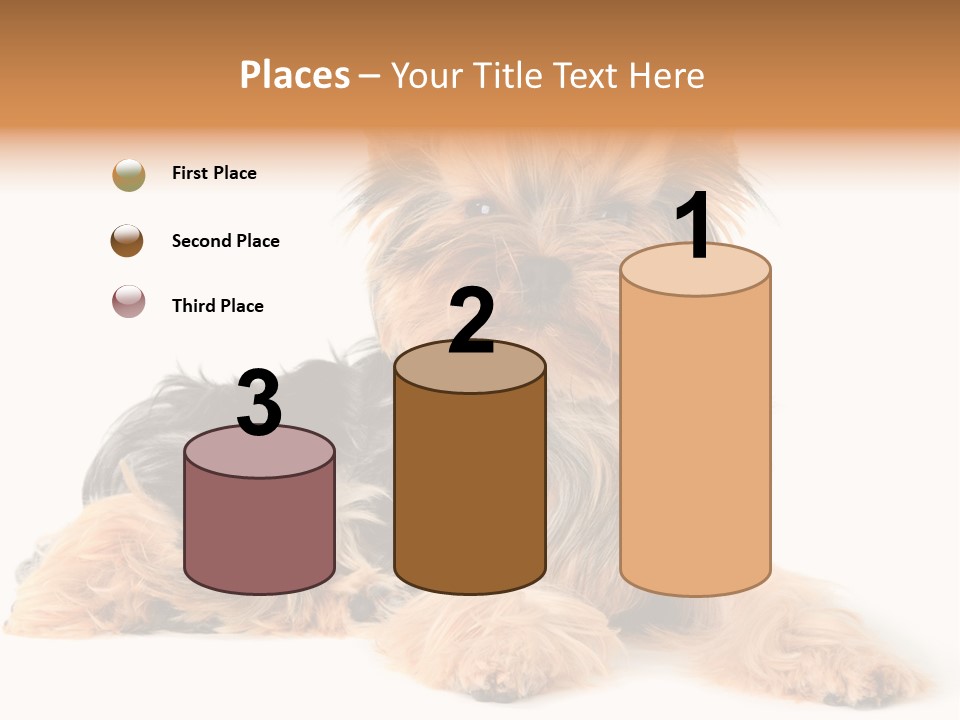 Yorkshire View Animal PowerPoint Template