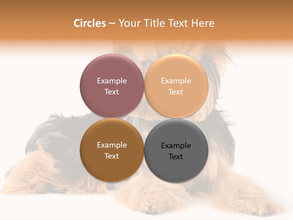 Yorkshire View Animal PowerPoint Template