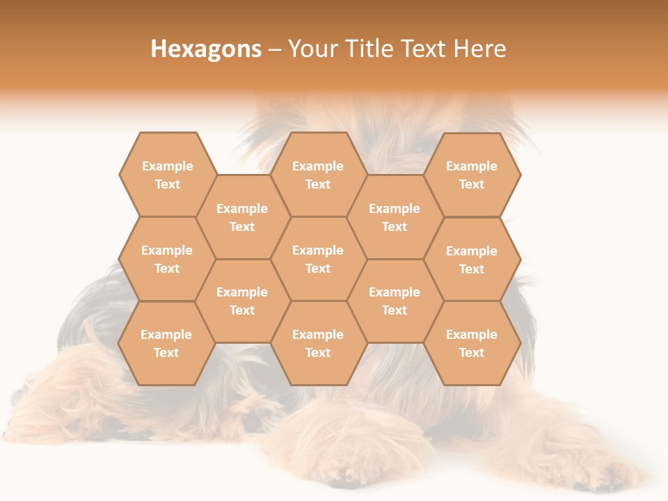 Yorkshire View Animal PowerPoint Template