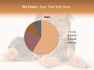 Yorkshire View Animal PowerPoint Template