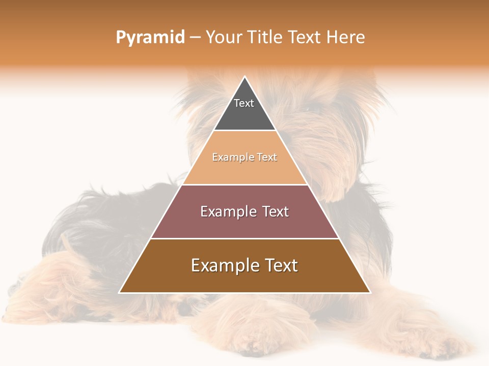 Yorkshire View Animal PowerPoint Template