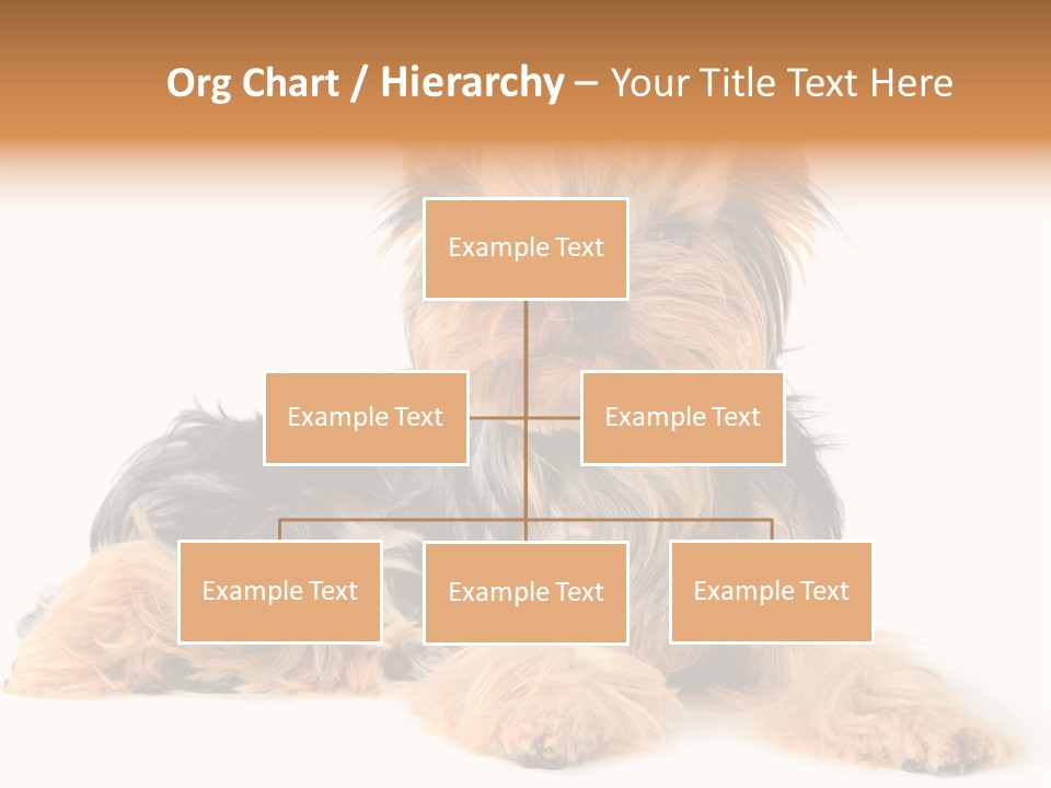 Yorkshire View Animal PowerPoint Template