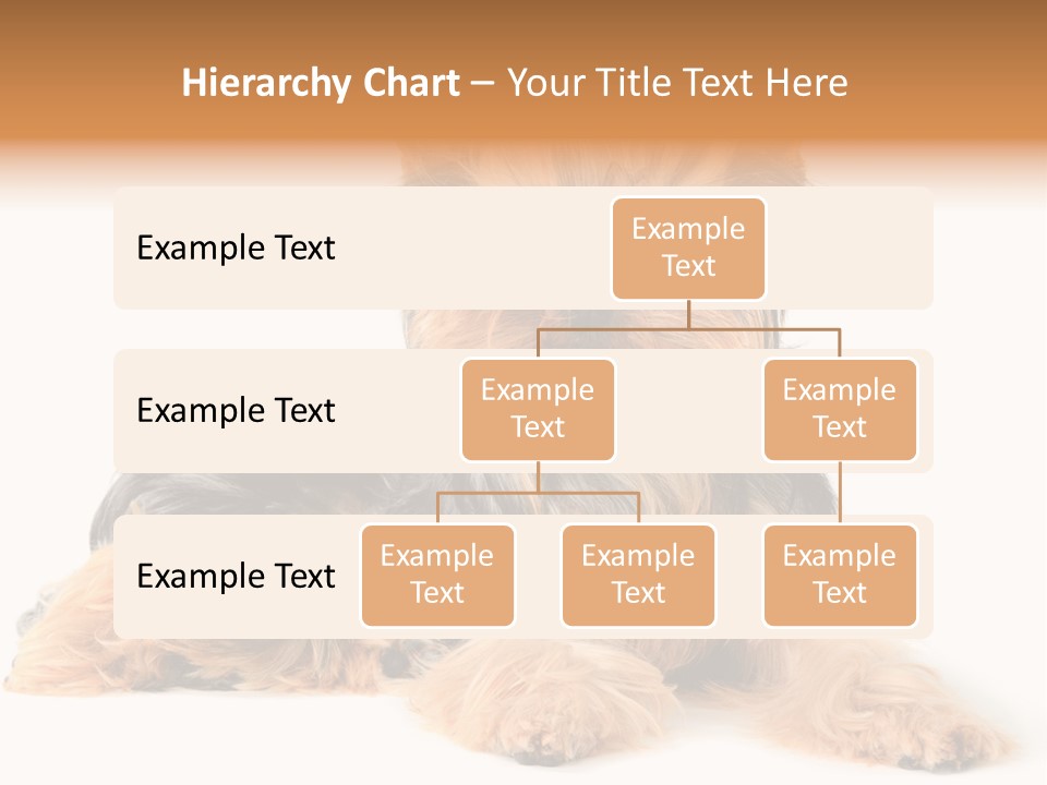 Yorkshire View Animal PowerPoint Template