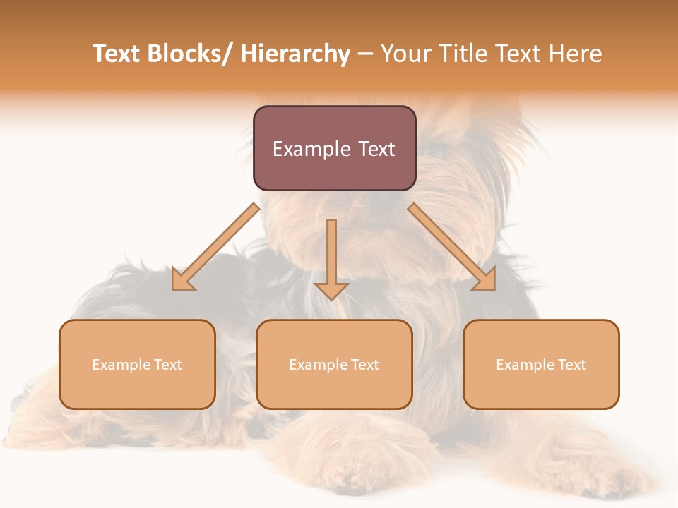 Yorkshire View Animal PowerPoint Template