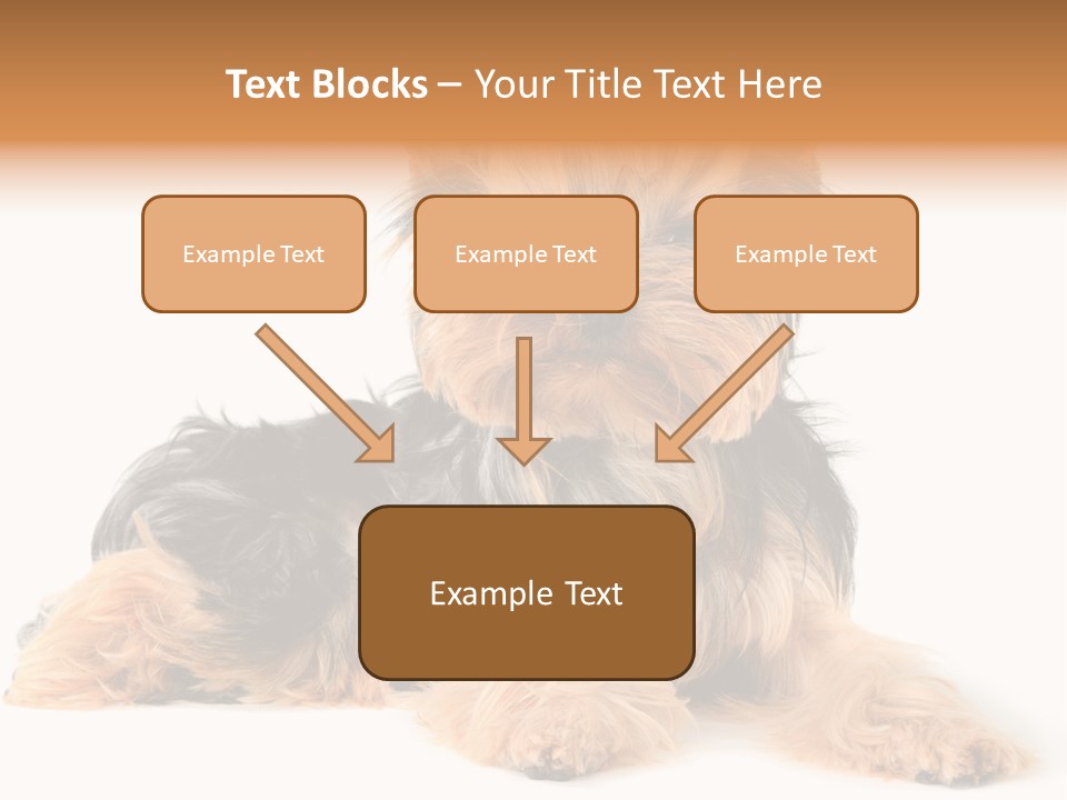 Yorkshire View Animal PowerPoint Template