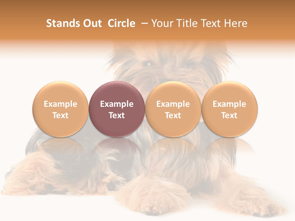 Yorkshire View Animal PowerPoint Template