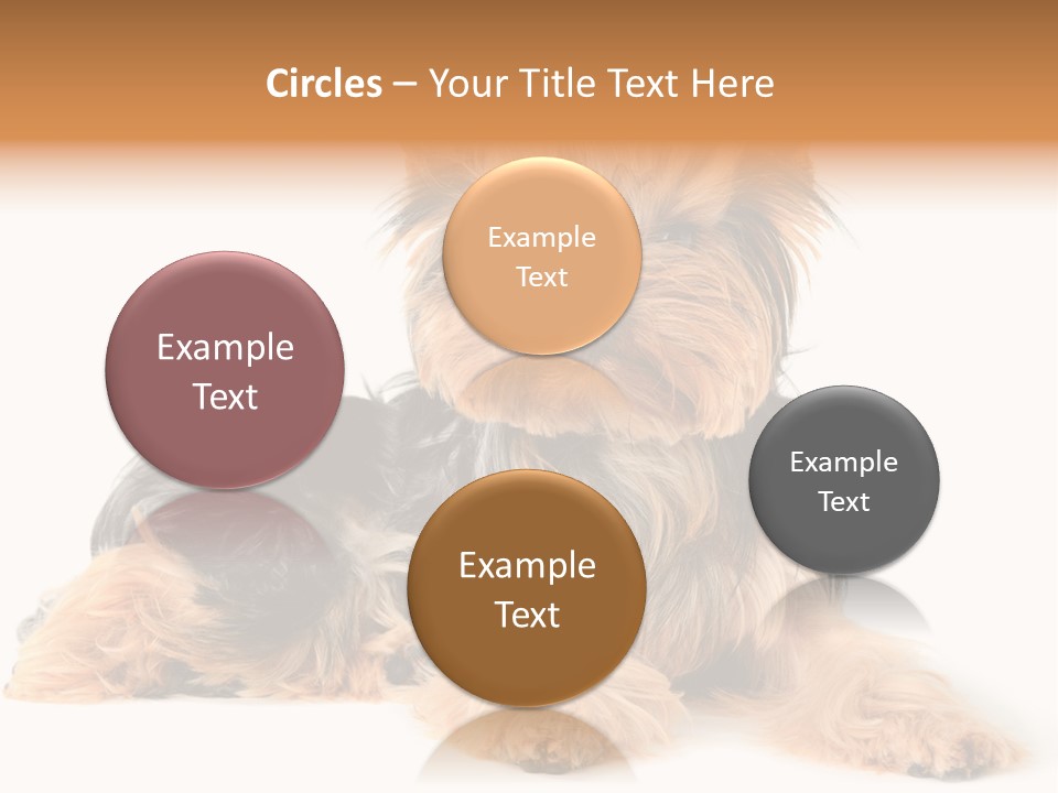Yorkshire View Animal PowerPoint Template
