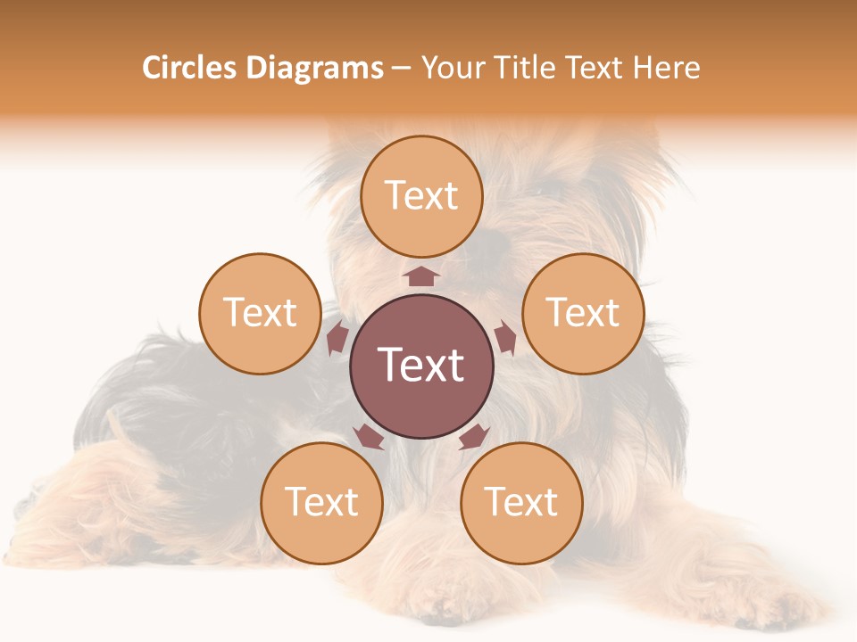 Yorkshire View Animal PowerPoint Template