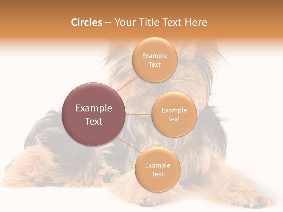 Yorkshire View Animal PowerPoint Template