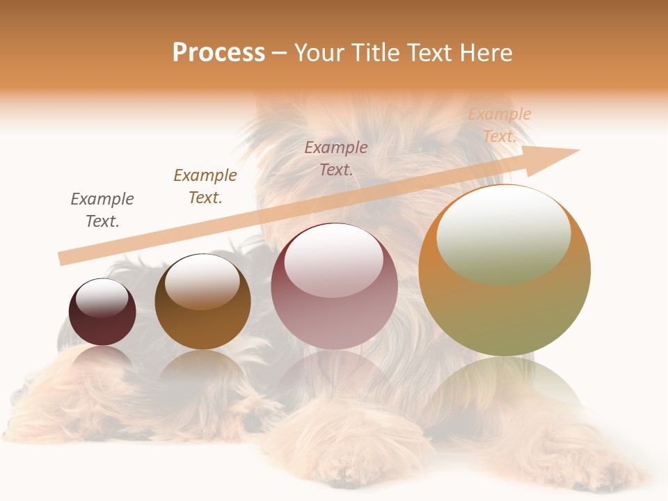 Yorkshire View Animal PowerPoint Template