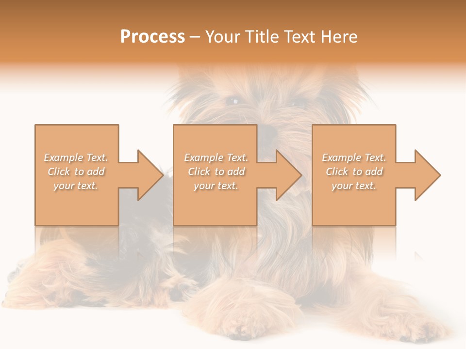 Yorkshire View Animal PowerPoint Template