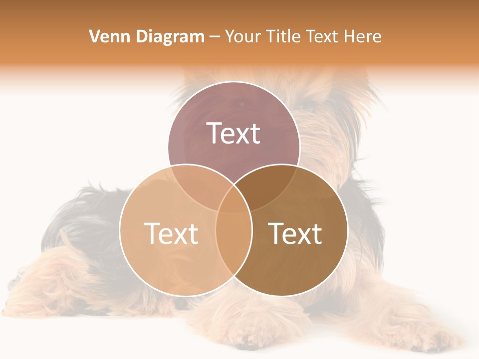 Yorkshire View Animal PowerPoint Template