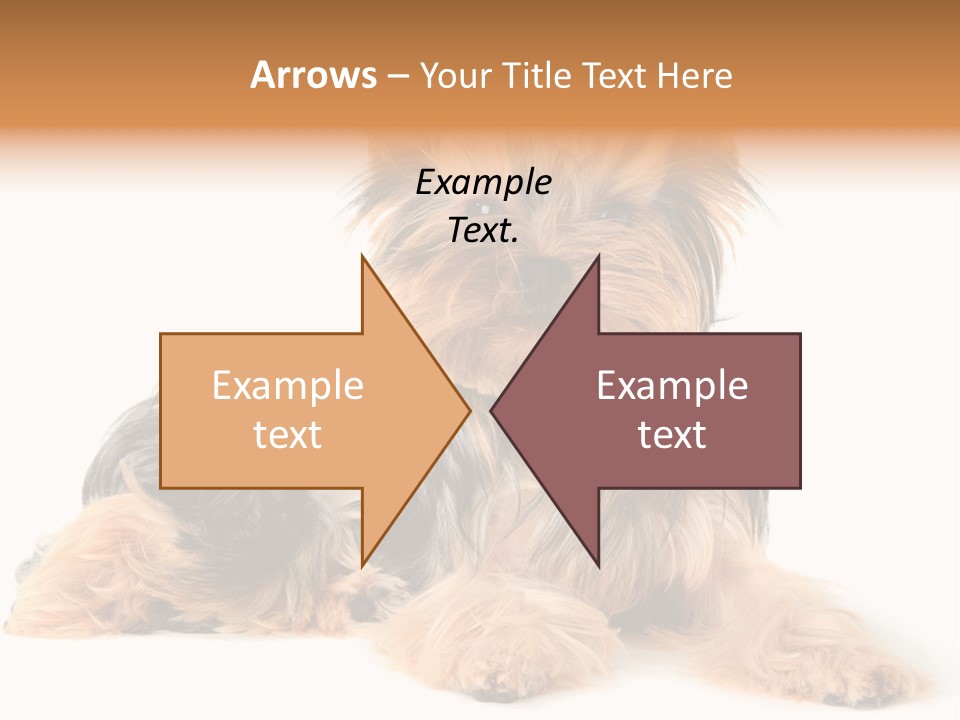 Yorkshire View Animal PowerPoint Template