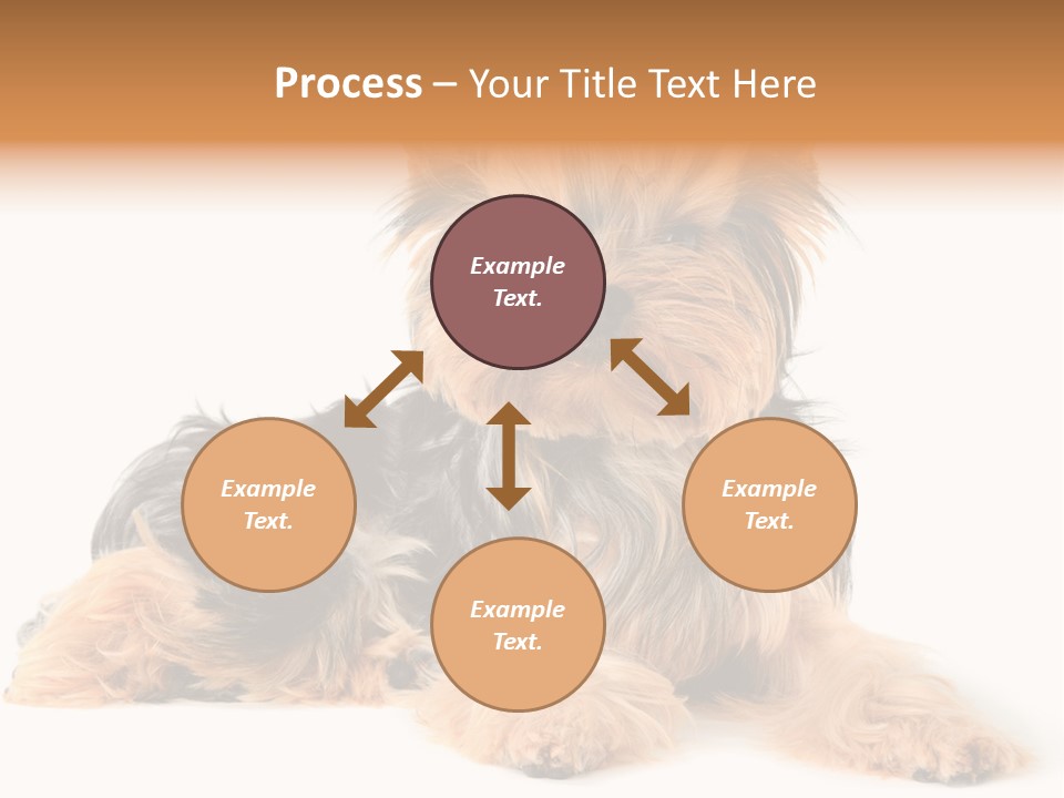 Yorkshire View Animal PowerPoint Template