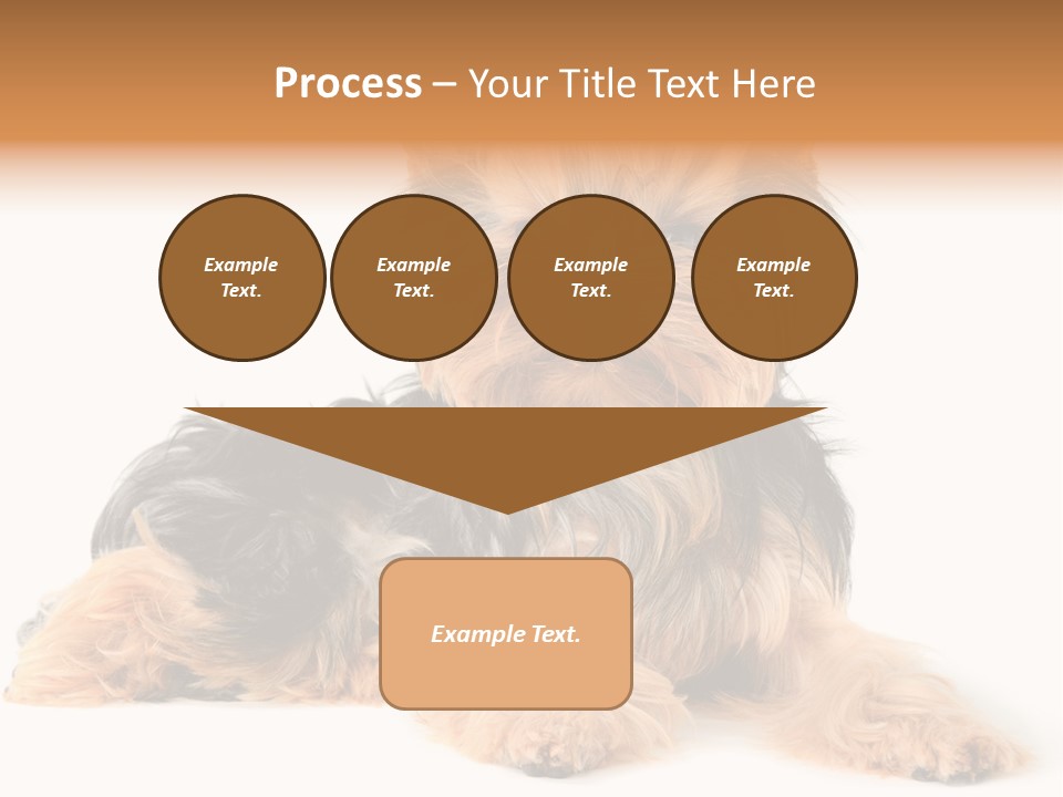 Yorkshire View Animal PowerPoint Template