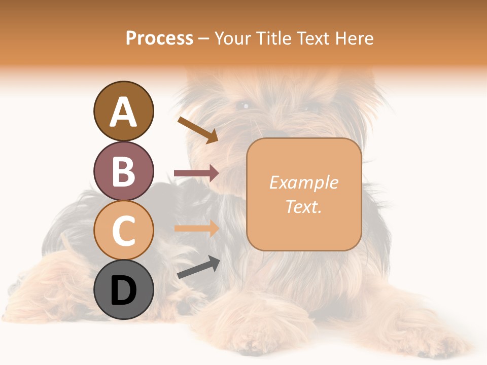 Yorkshire View Animal PowerPoint Template