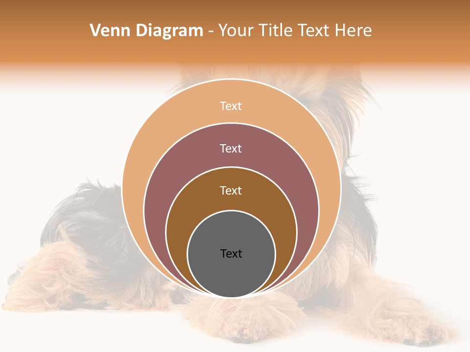 Yorkshire View Animal PowerPoint Template