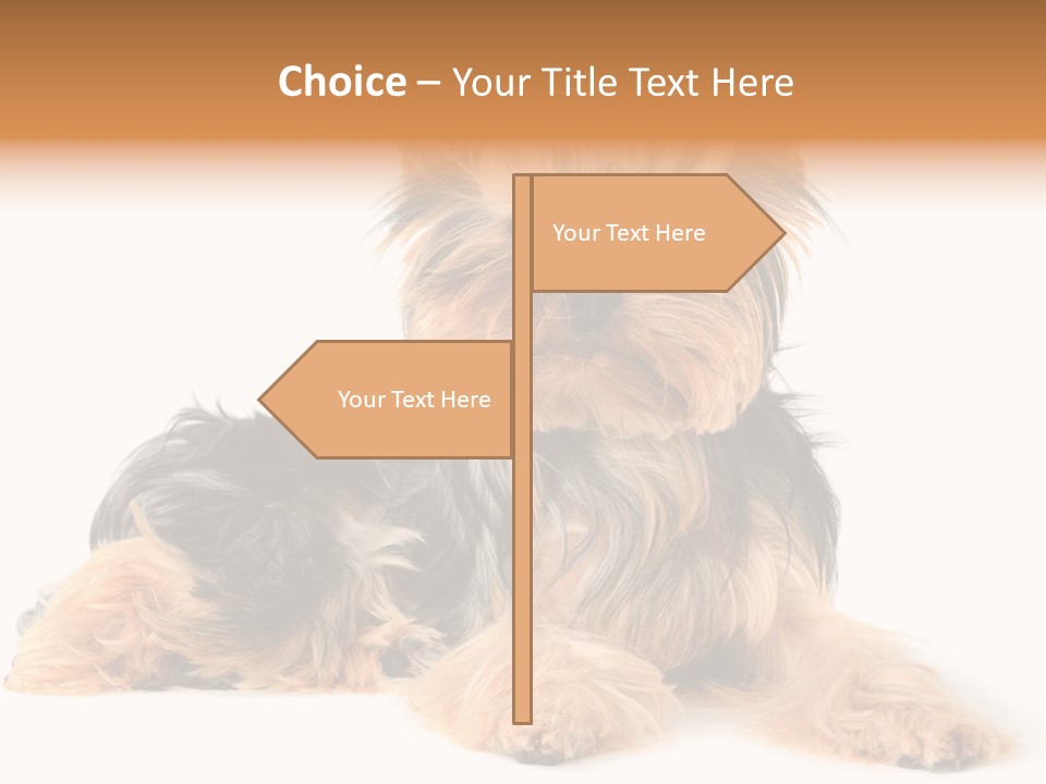 Yorkshire View Animal PowerPoint Template