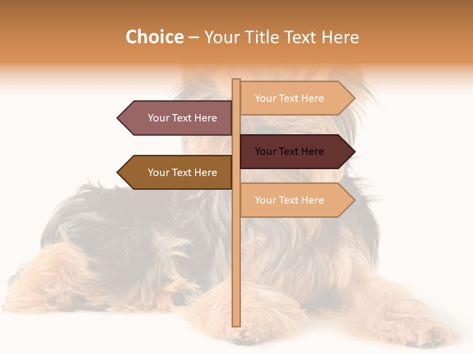 Yorkshire View Animal PowerPoint Template